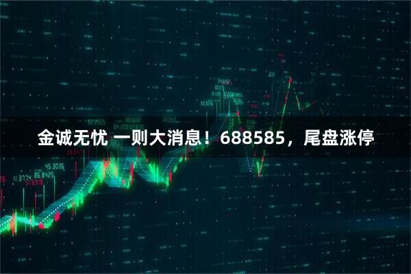 金诚无忧 一则大消息！688585，尾盘涨停